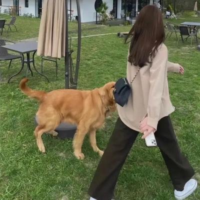 残破的娃娃