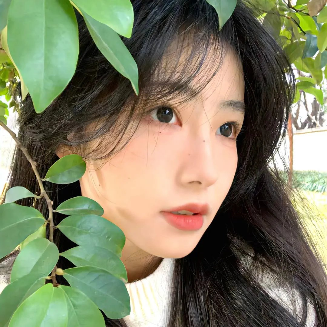 凌晨的天使